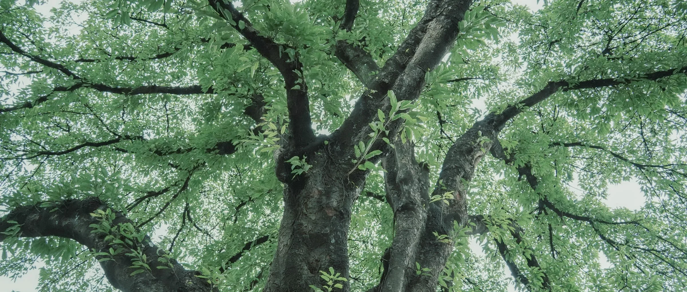 风光 188