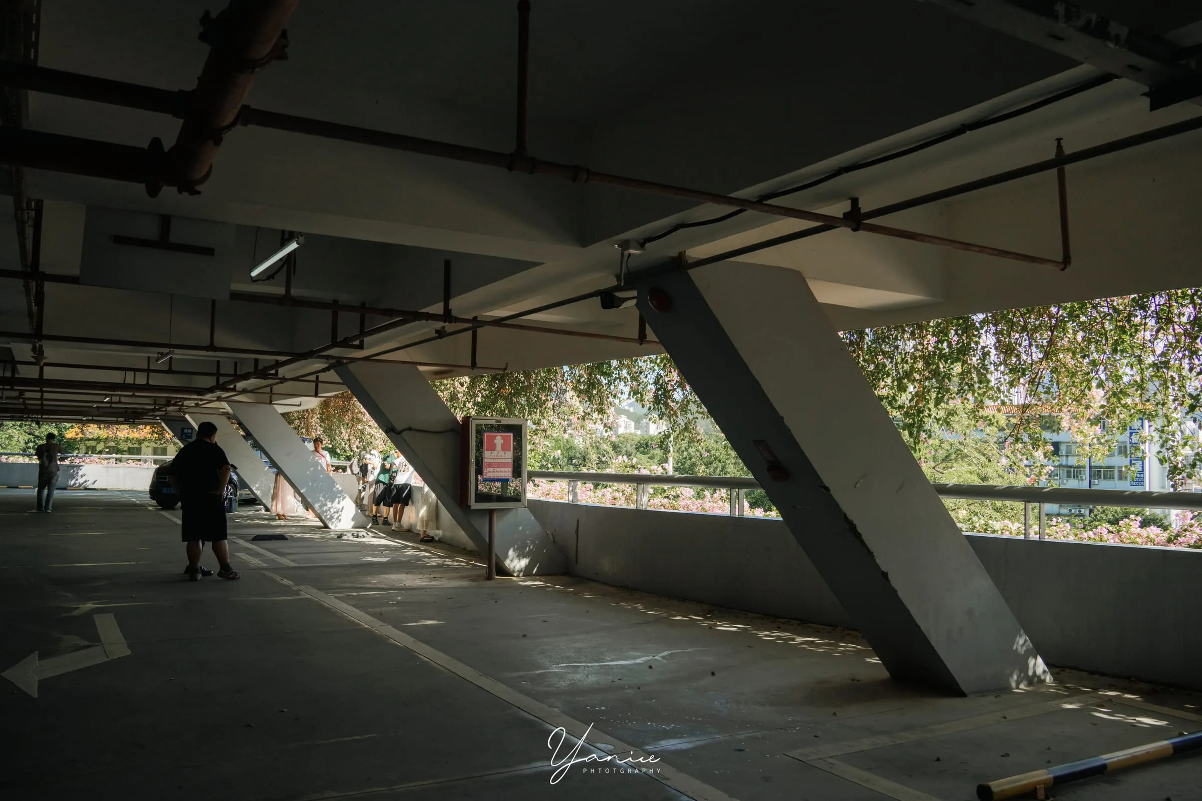 风光 119